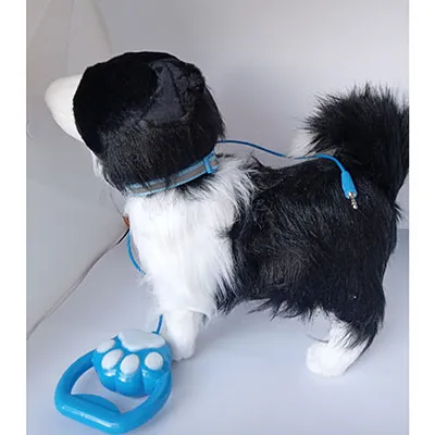 Un chien noir et blanc sur une laisse en plastique bleu. Le jouet a une tête douce et farcie et un corps dur. Il a un collier avec une cloche en métal sur le cou, et un boîtier de batterie avec trois piles AA 1,5 V.