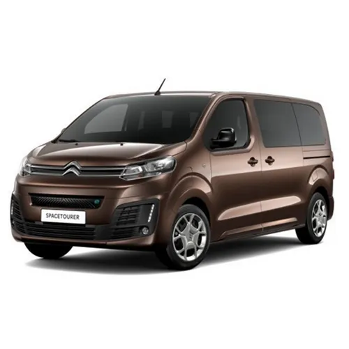 CITROEN - Voiture particulière / Véhicule utilitaire léger