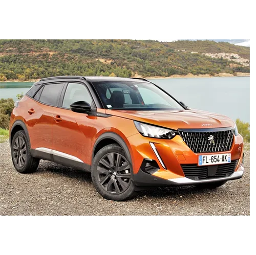 Peugeot - Voiture particulière / Véhicule utilitaire léger