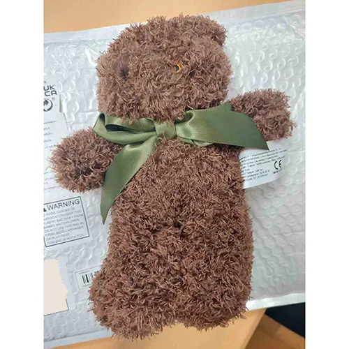 Jouet doux représentant un ours avec un ruban textile en satin vert autour de son cou. Tous les lots sont concernés. Produit vendu en ligne, notamment via Temu.