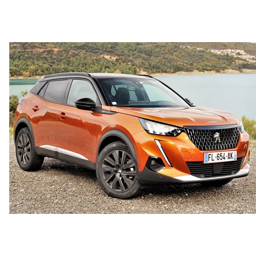 Peugeot - Voiture particulière / Véhicule utilitaire léger