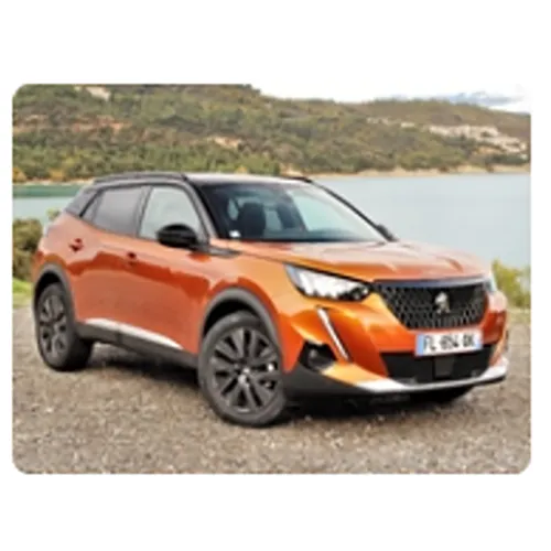 Peugeot - Voiture particulière
