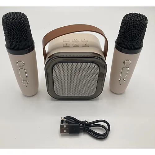 Colorful karaoke sound system - Ensemble de karaoké