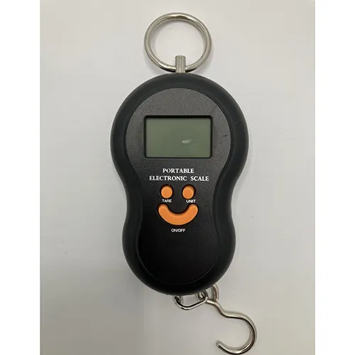 Ryom Digital - Échelle