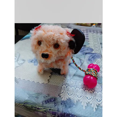 Jouet en peluche en forme de chien, vendu en différentes couleurs avec des arcs rouges attachés aux oreilles du jouet et un élastique avec une cloche attachée autour du cou du chien, et une laisse colorée se terminant par un os en plastique. Le jouet est alimenté par 2 piles AA.