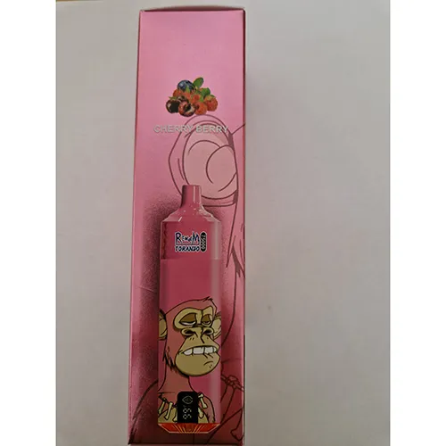 RENdM - Cigarette électronique jetable