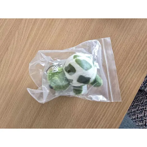 TNSLAND - Porte-clés