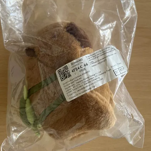 Porte-clés avec un jouet doux en forme de capybara brun avec un sac à dos en textile vert. Produit vendu en ligne, notamment via Amazon (ASIN: B0CP6VKLGP).