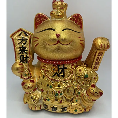 Good Luck - Chat à ondulation