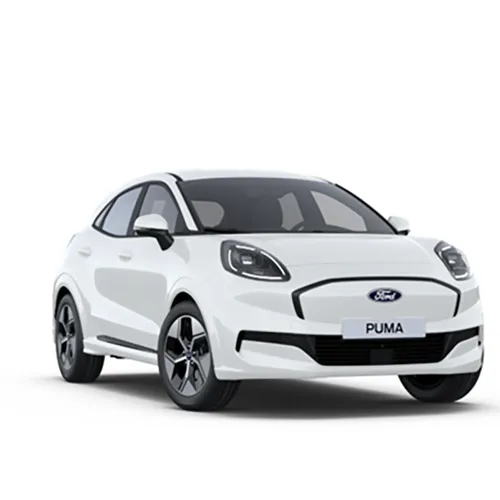 Ford - Voiture particulière/Véhicule utilitaire léger