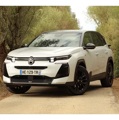 CITROEN - Fourgonnette / Véhicule utilitaire léger