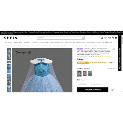Shein - Costume de fantaisie