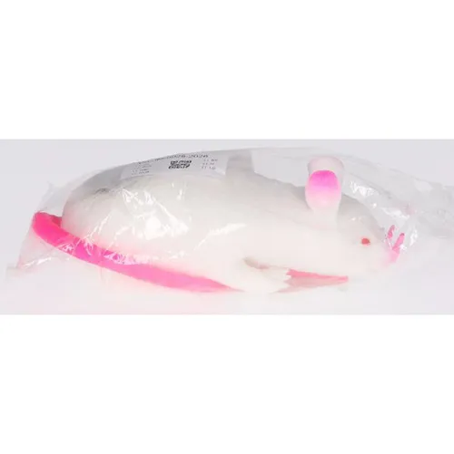 Jouet en plastique extensible en forme de souris, rempli de sable.