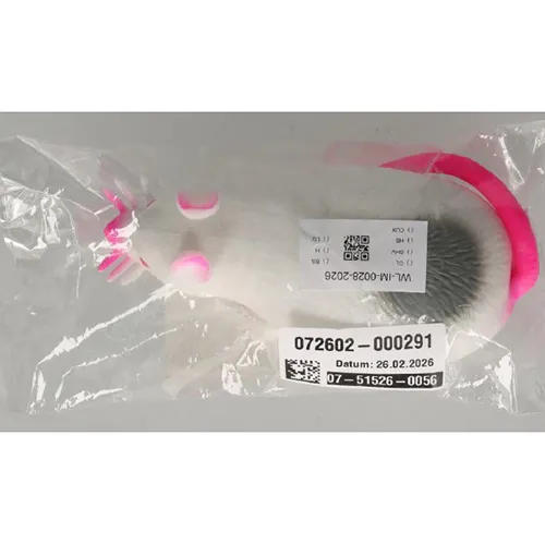 Jouet en plastique extensible en forme de souris, rempli de sable.
