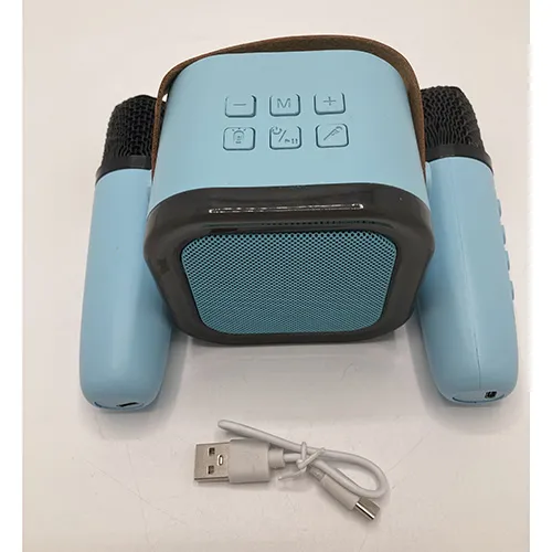 Ensemble de karaoké avec deux microphones sans fil et un câble USB.